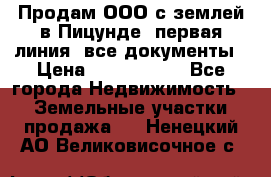 Продам ООО с землей в Пицунде, первая линия, все документы › Цена ­ 9 000 000 - Все города Недвижимость » Земельные участки продажа   . Ненецкий АО,Великовисочное с.
